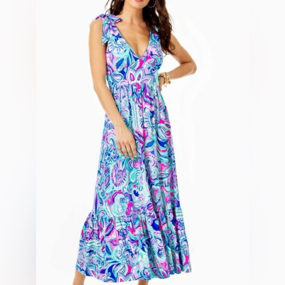 Lilly Pulitzer Pink and Blue Paisley Maxi Dress - Picture 8 of 8